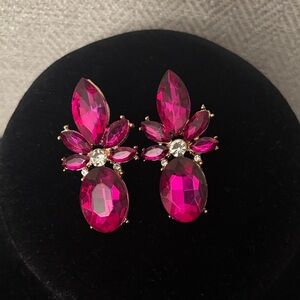 Radiant Fuchsia Earrings